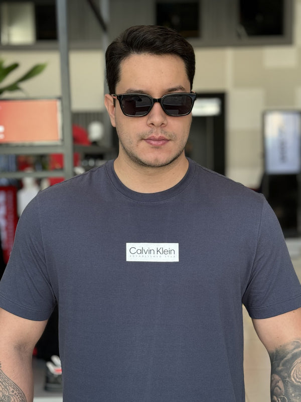 Camiseta Calvin Klein Logo Established Frontal Masculino